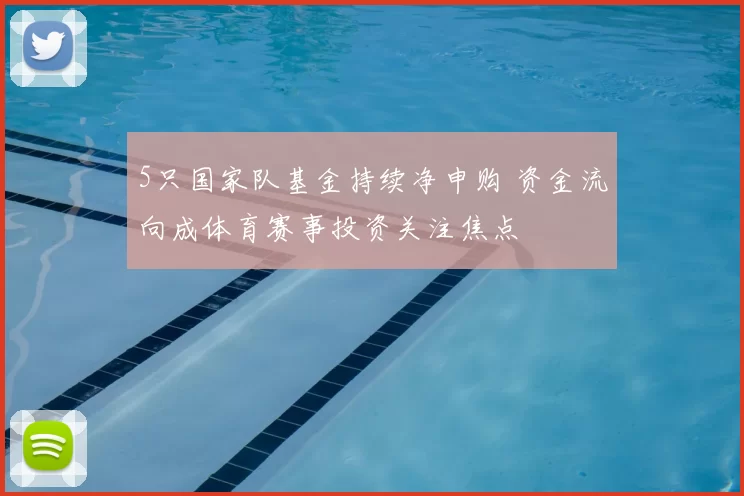 5只国家队基金持续净申购 资金流向成体育赛事投资关注焦点