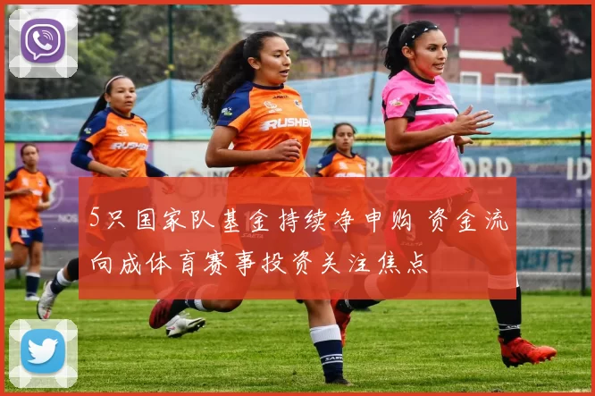 5只国家队基金持续净申购 资金流向成体育赛事投资关注焦点